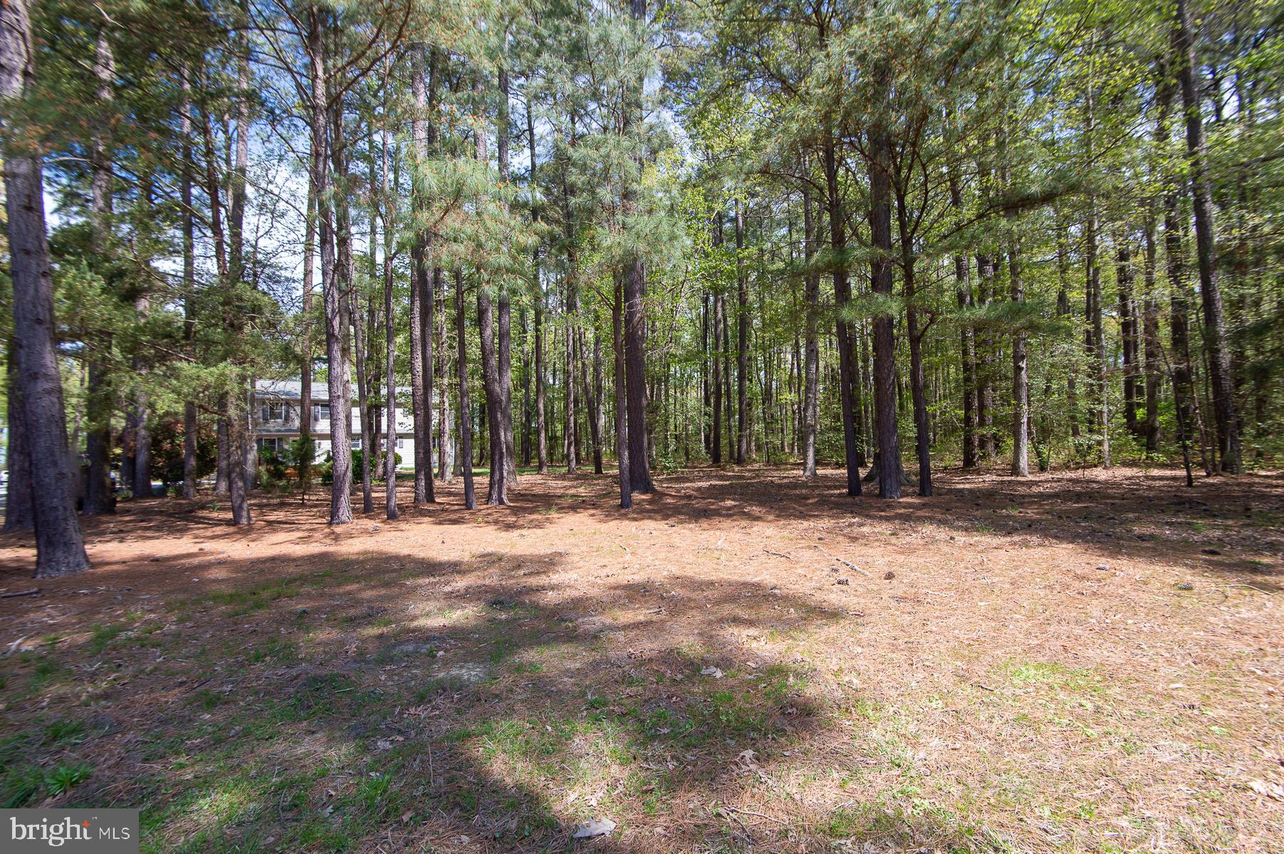 5951 Ross Neck Road Cambridge, MD 21613 - Photo 47 of 50