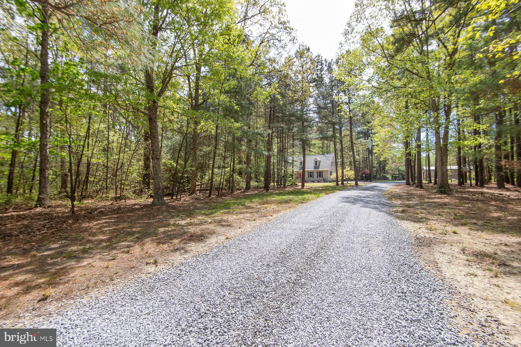 5951 Ross Neck Road Cambridge, MD 21613 - Photo 48 of 50 Newly stoned driveway