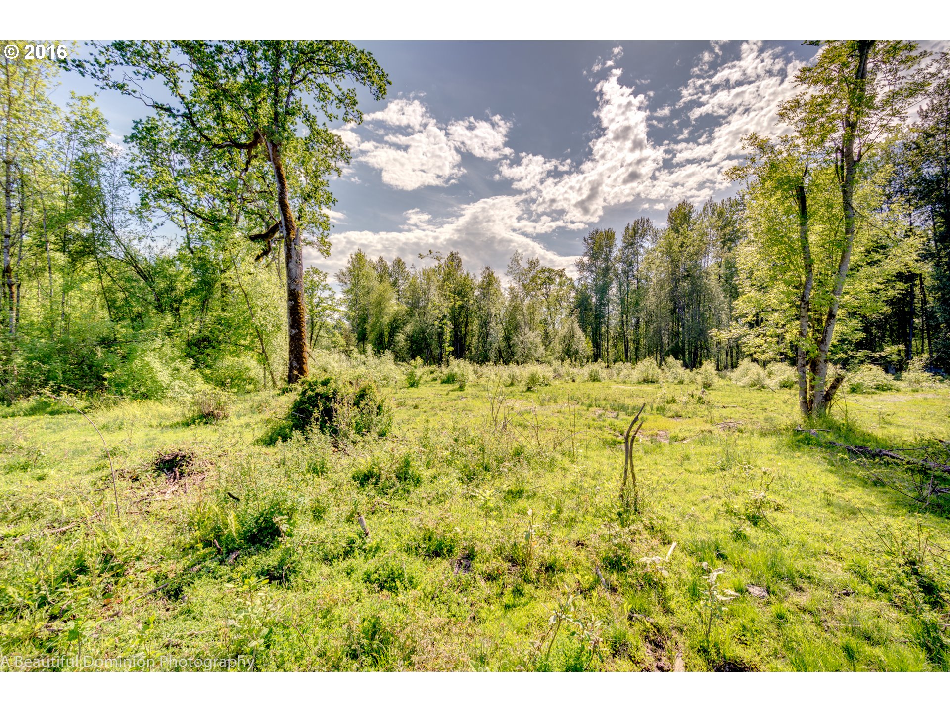 0 South Cramer Road Molalla, OR 97038 - Photo 1 of 29 a view of mountain view with a tree