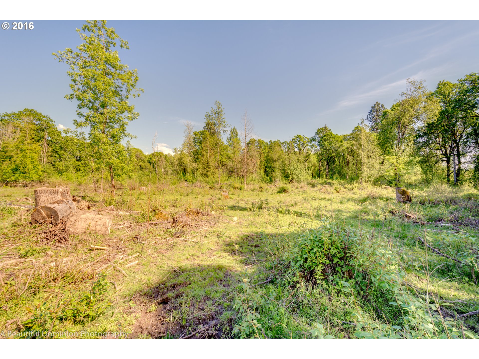 0 South Cramer Road Molalla, OR 97038 - Photo 13 of 29 a view of a yard