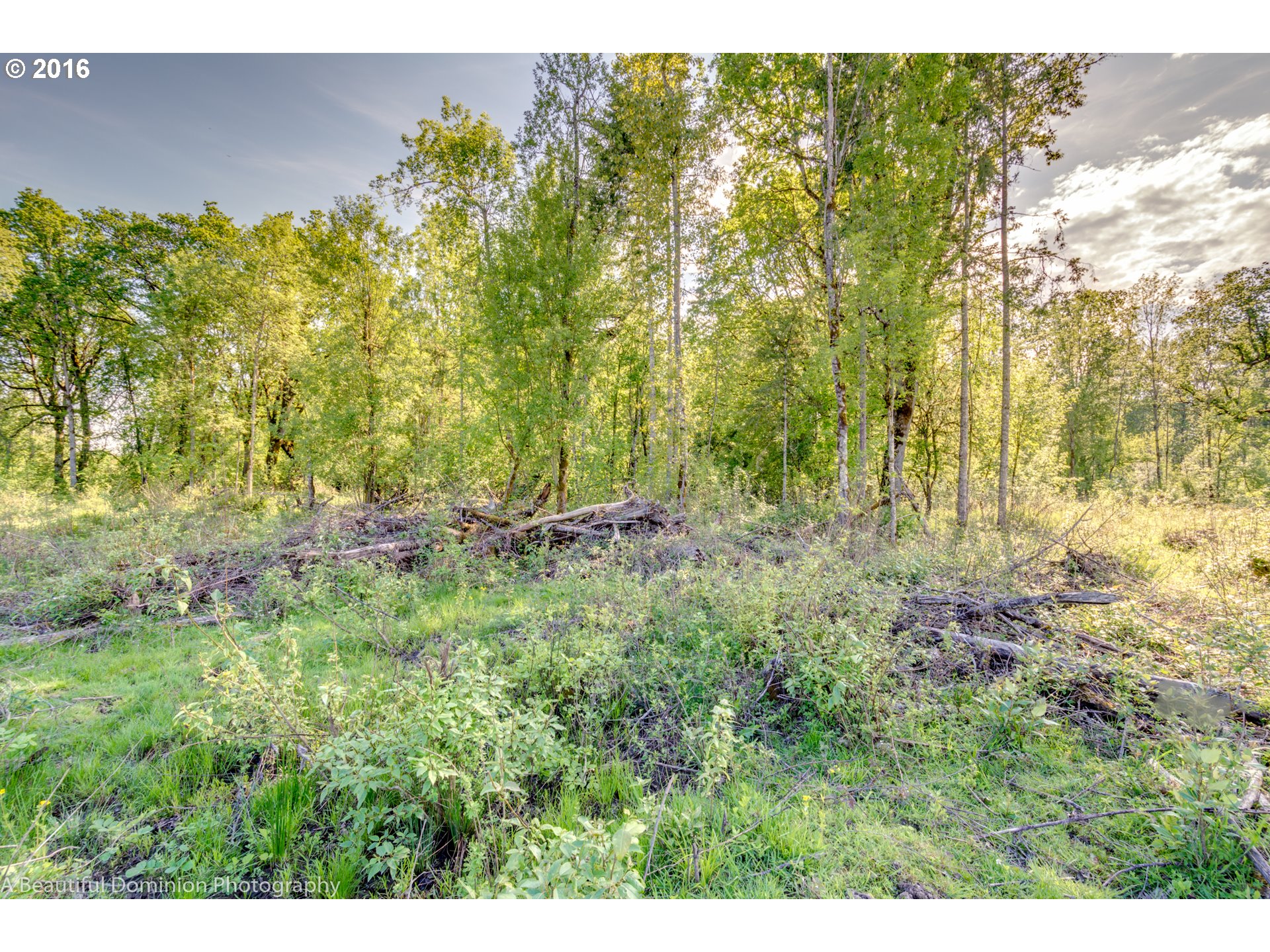 0 South Cramer Road Molalla, OR 97038 - Photo 14 of 29 a view of a yard