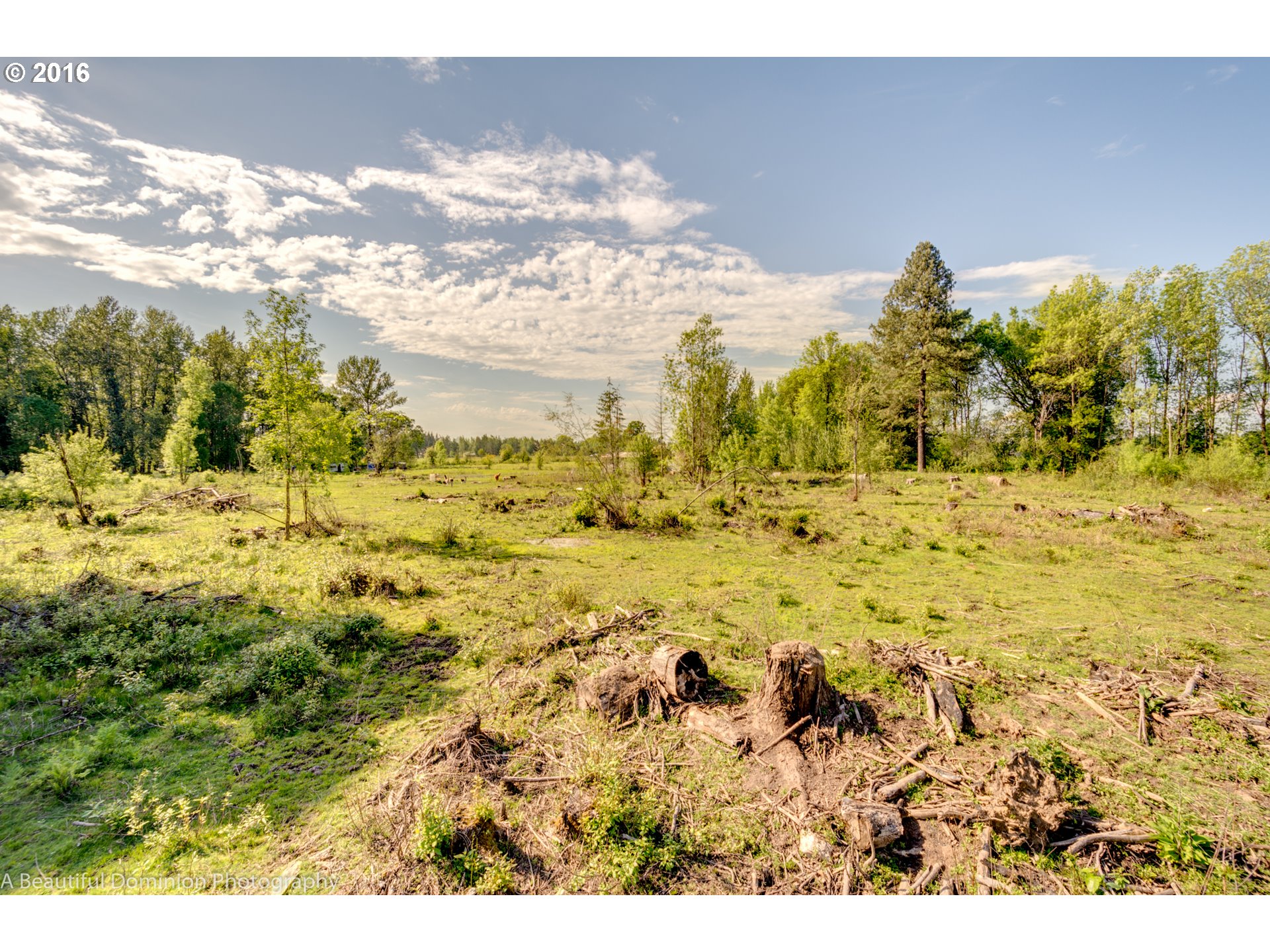 0 South Cramer Road Molalla, OR 97038 - Photo 18 of 29
