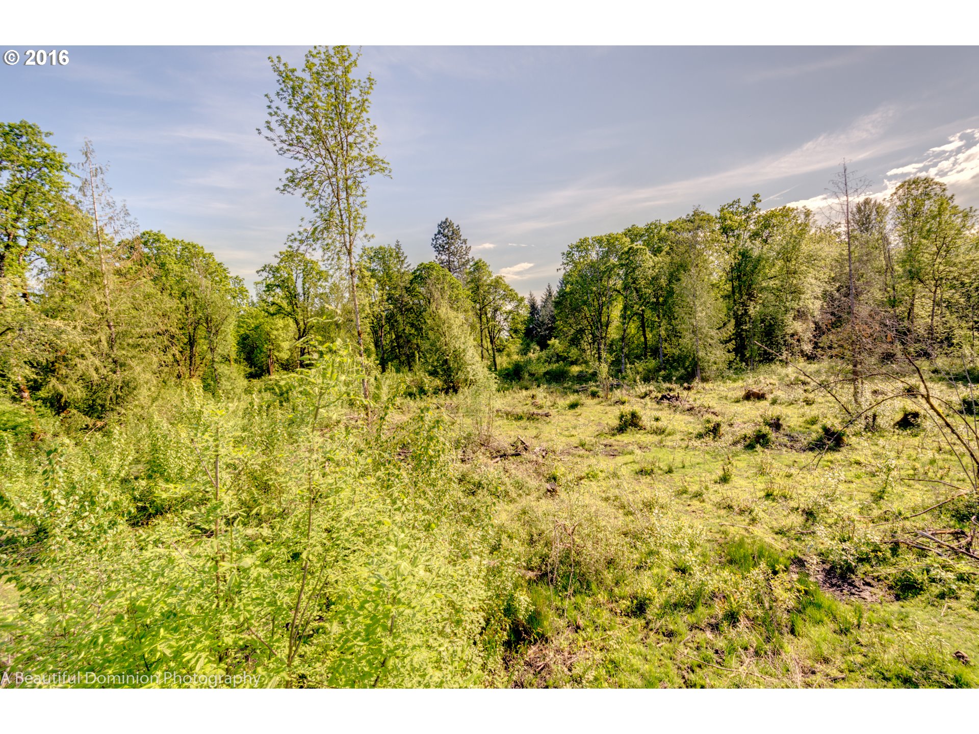 0 South Cramer Road Molalla, OR 97038 - Photo 25 of 29 a view of a yard