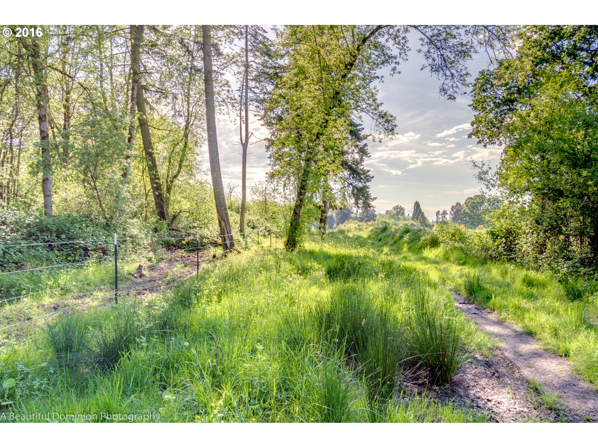0 South Cramer Road Molalla, OR 97038 - Photo 28 of 29 a backyard of a house with lots of green space