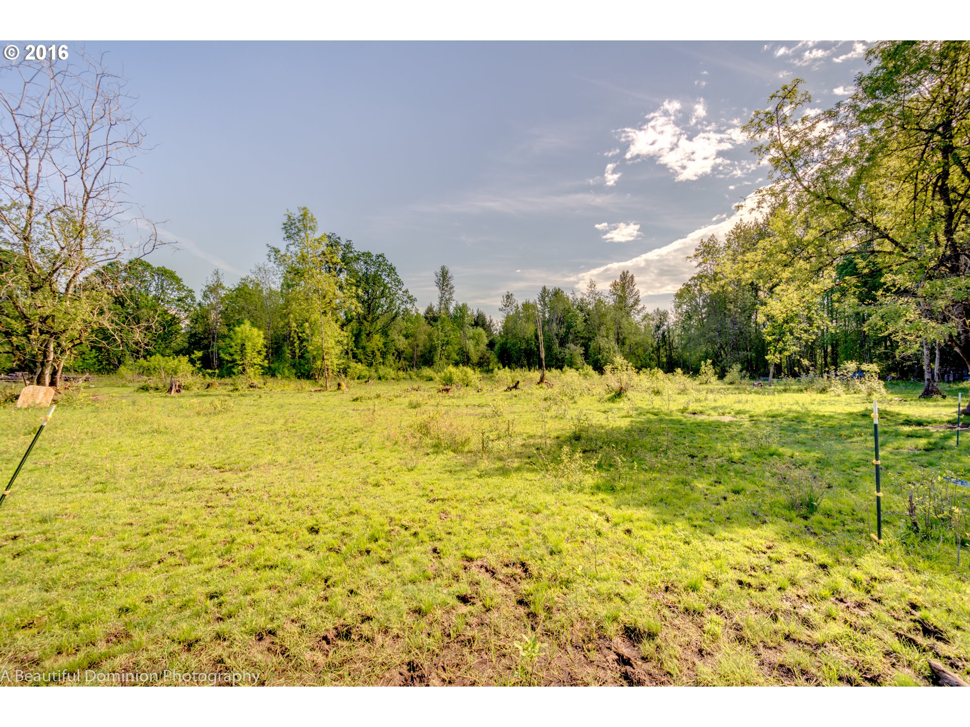 0 South Cramer Road Molalla, OR 97038 - Photo 5 of 29 a view of a swimming pool