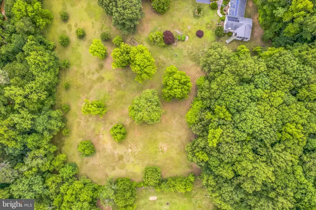 a close up of a flower in a garden