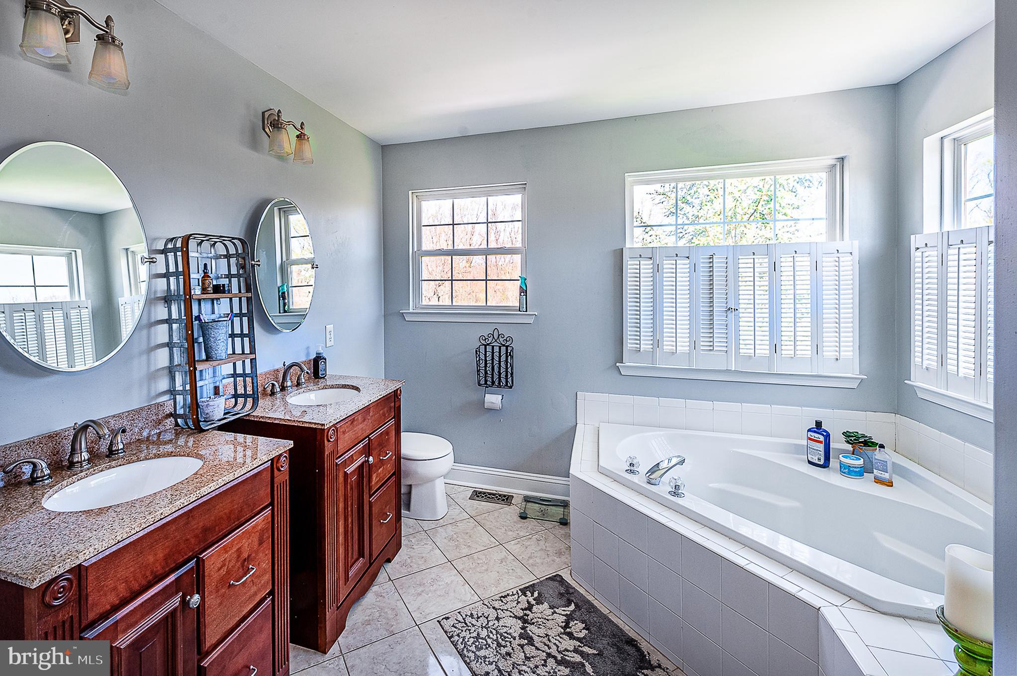 393 Rainey Road Swedesboro, NJ 08085 - Photo 24 of 38 Master Bath