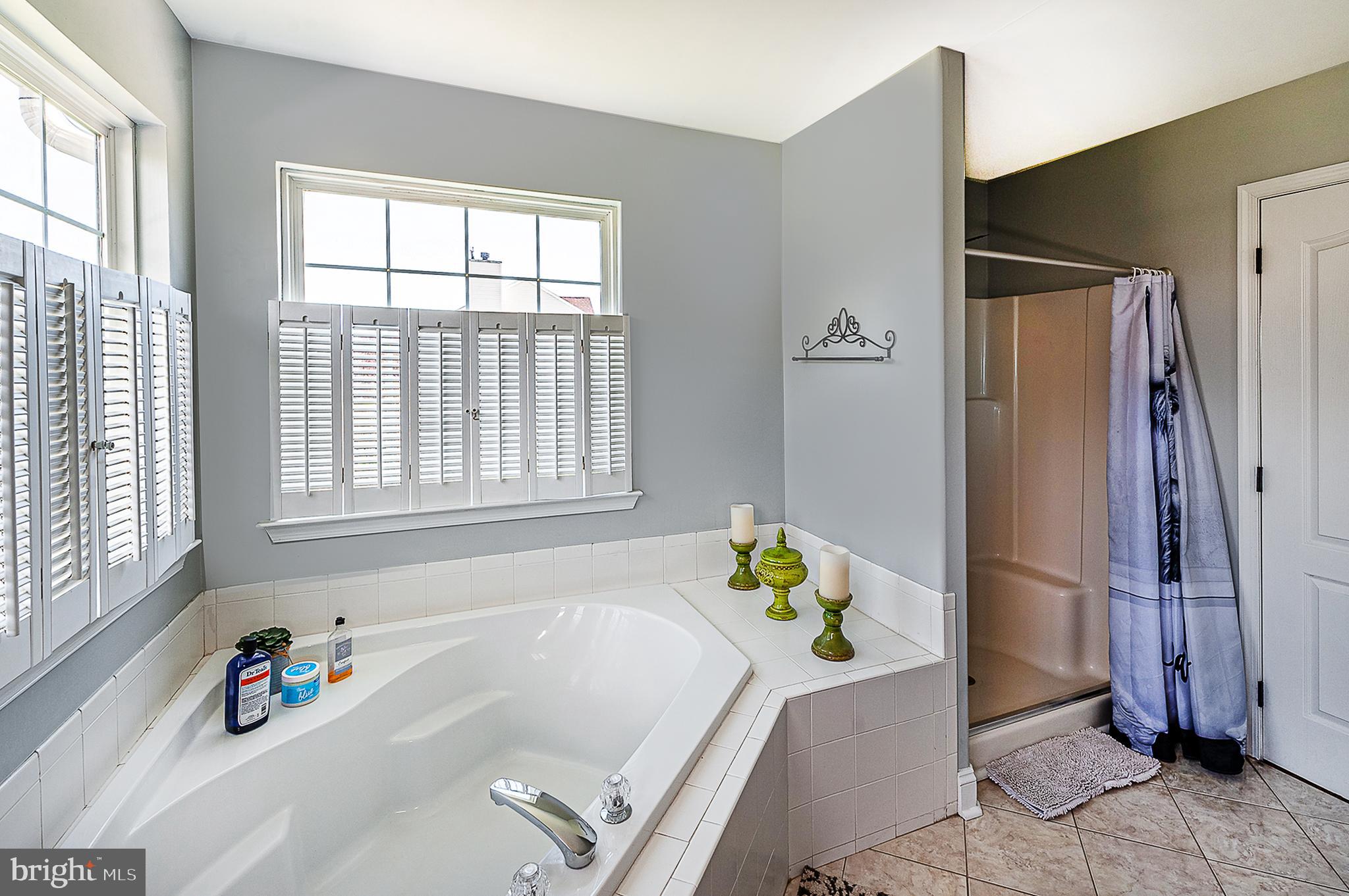 393 Rainey Road Swedesboro, NJ 08085 - Photo 25 of 38 Master Bath