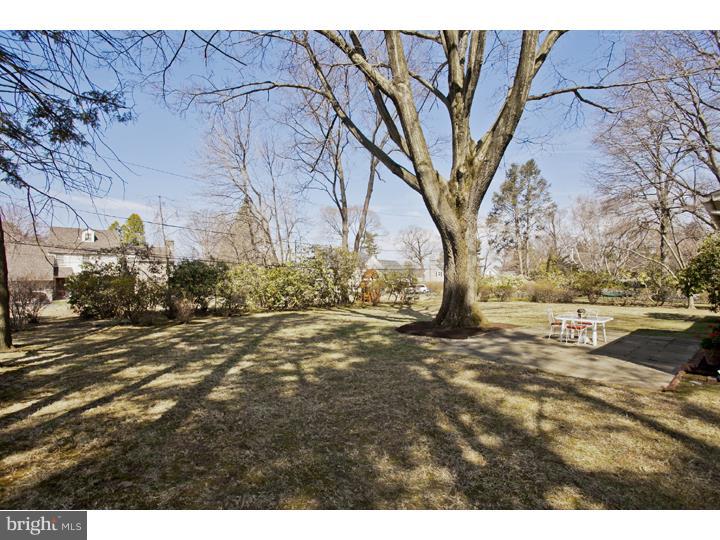 220 Arden Road Broomall, PA 19008 - Photo 11 of 25 Back Yard