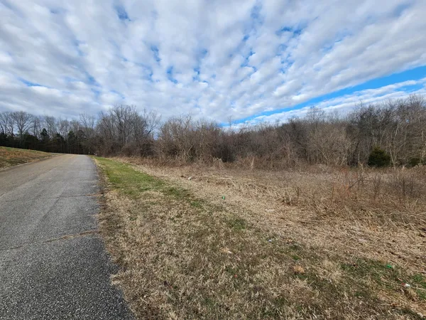 a view of a backyard with green space