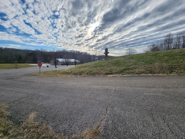 a view of a yard with trees in the background