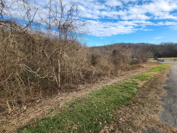 $40,000 | 0 Hwy 13 Palmyra Tn 37142, Cunningham, TN 37052