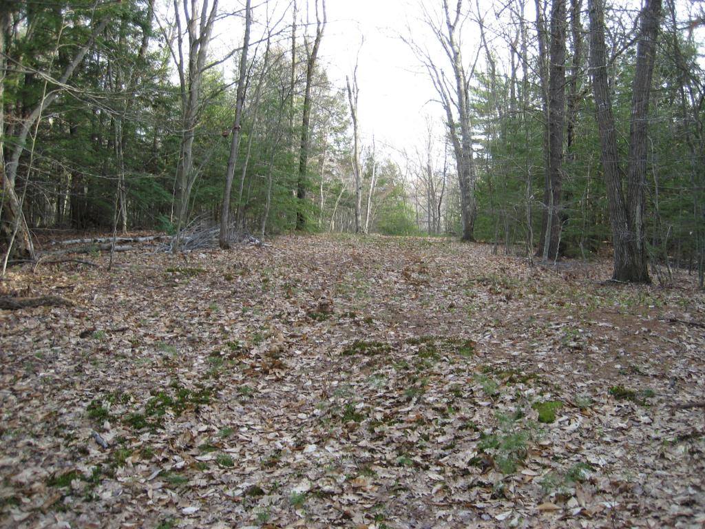 1.1 Udall Road, Unit 1 1 Francestown, NH 03043 - Photo 22 of 26 Gallery Image 22