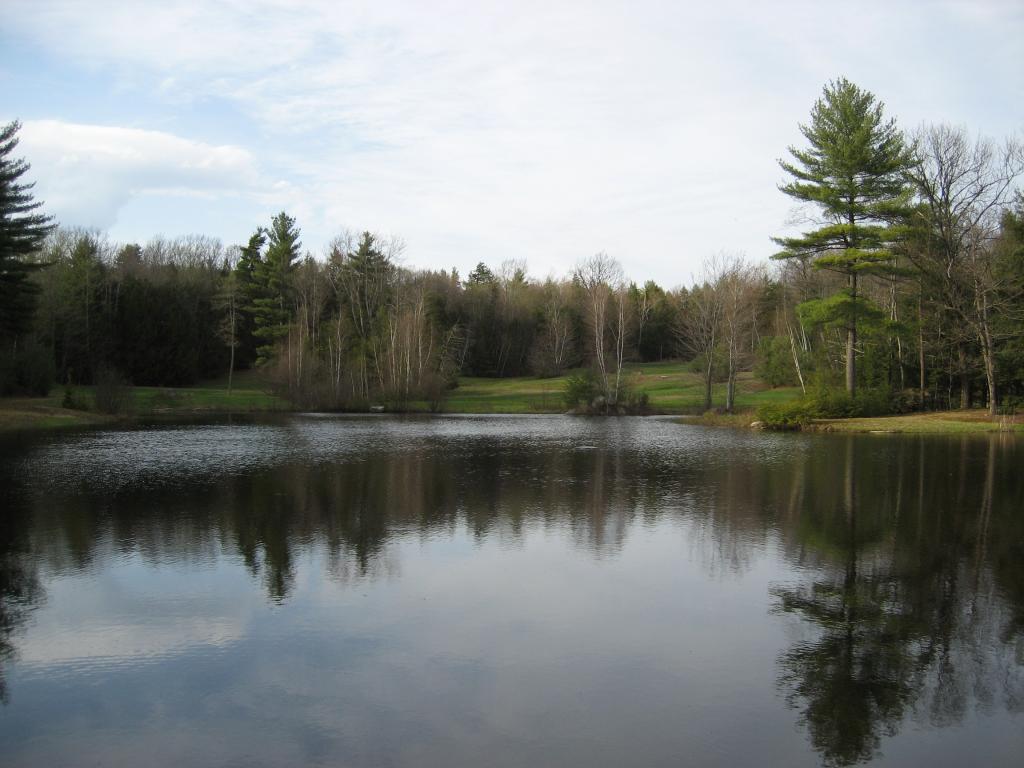 1.1 Udall Road, Unit 1 1 Francestown, NH 03043 - Photo 4 of 26 Gallery Image 4