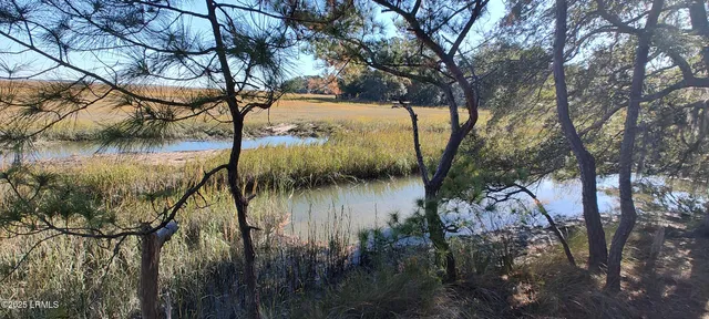 $159,000 | 2 Black Skimmer Court, Beaufort, SC 29907