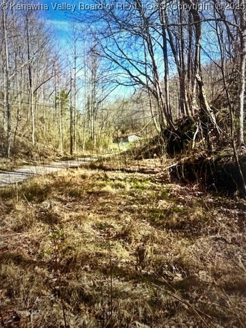 0 Utah Hollow Road Charleston, WV 25312 - Photo 15 of 39 Gallery Image 15