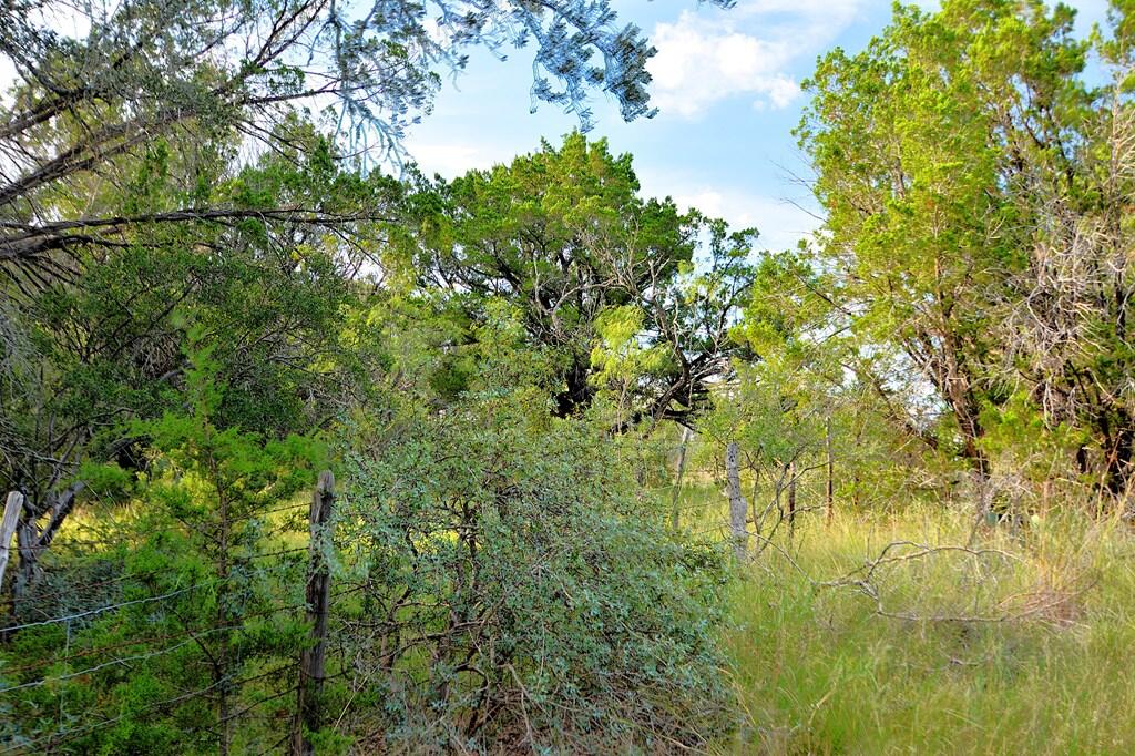 22874 Ranch Road 385 Harper, TX 78631 - Photo 28 of 31 Gallery Image 28