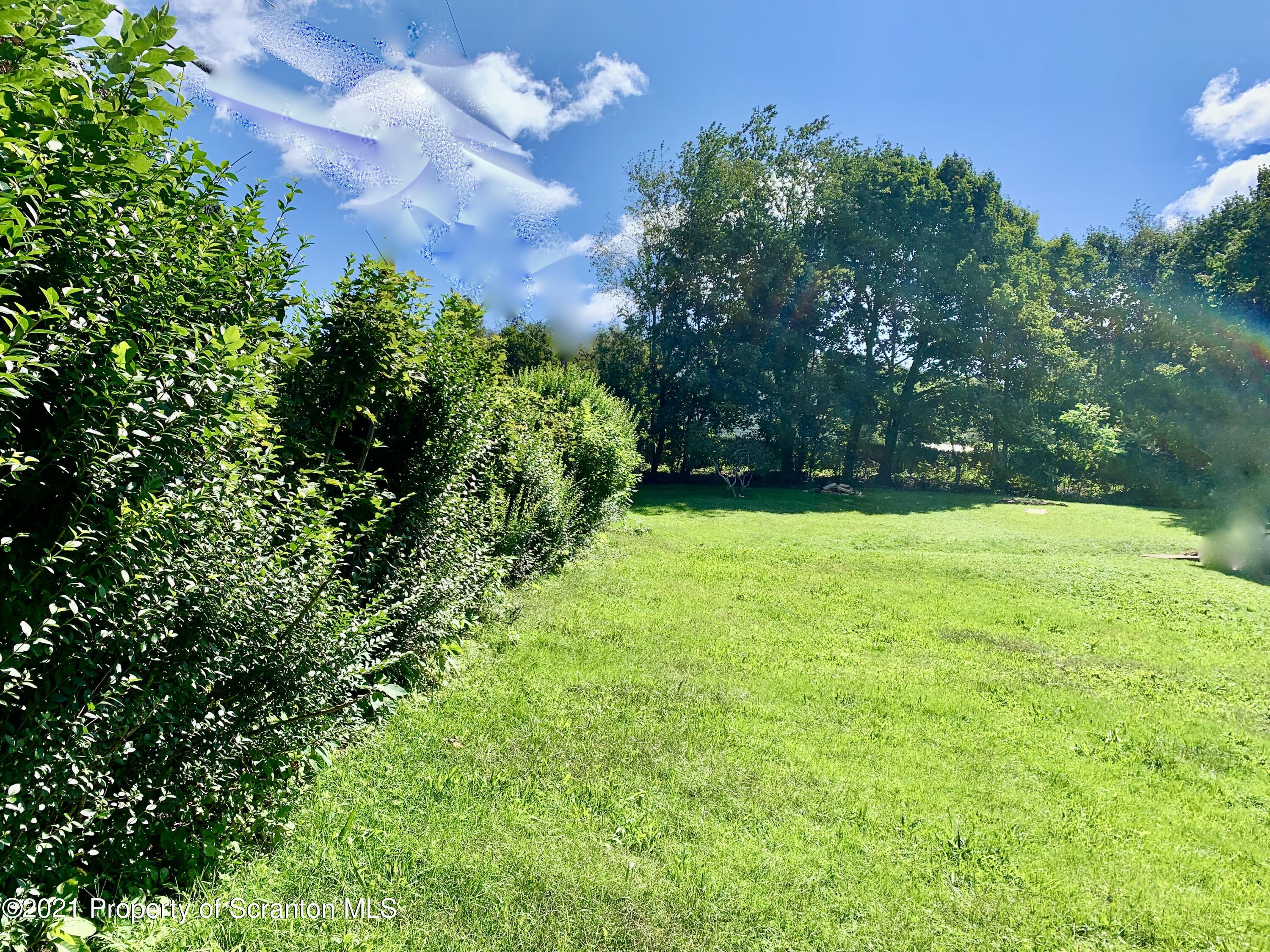 27 Rittenhouse Street Simpson, PA 18407 - Photo 3 of 3 a view of yard with grass and a trees