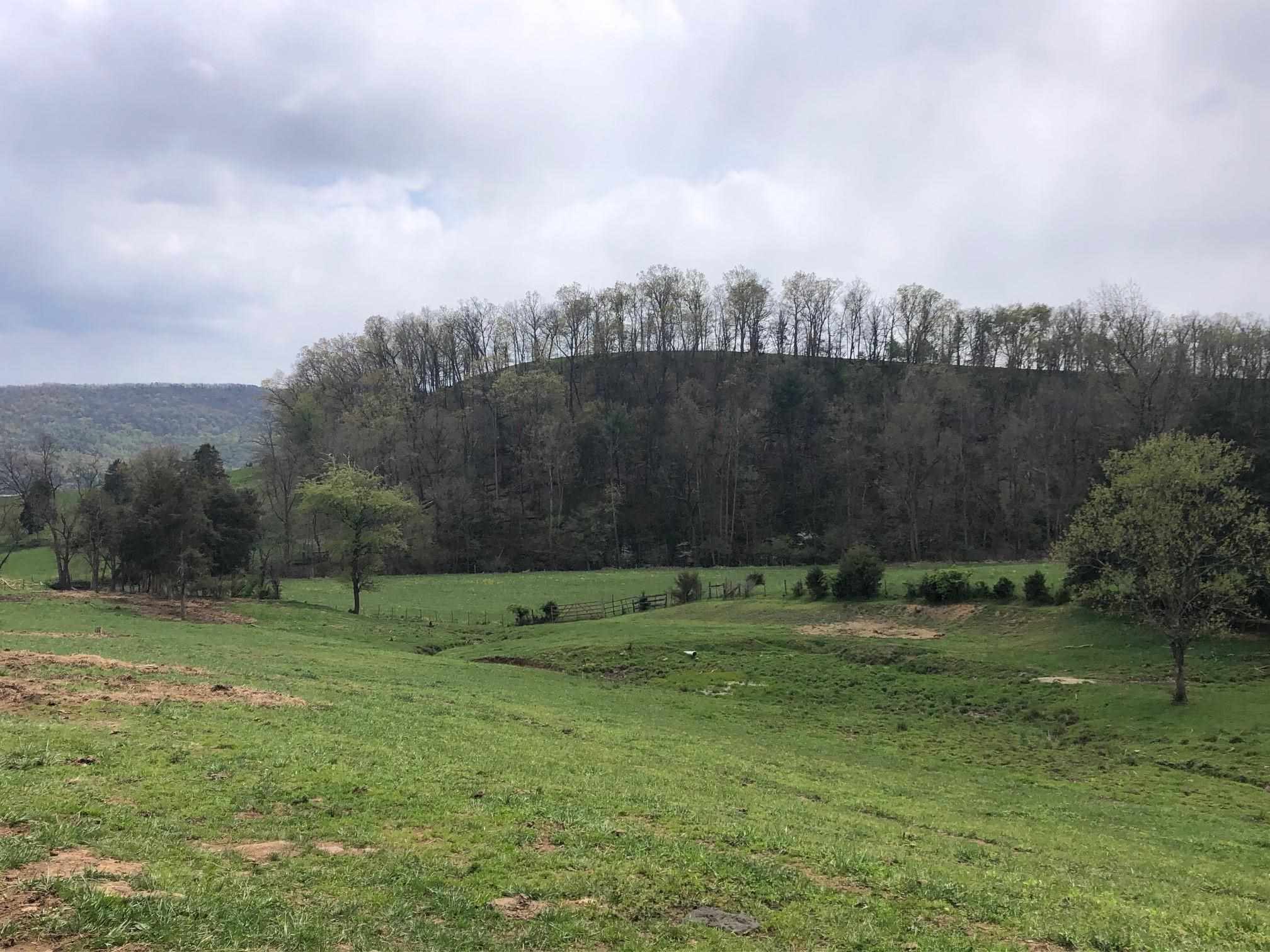 12485 3rd Hill Road Fulks Run, VA 22830 - Photo 1 of 31 Gallery Image 1