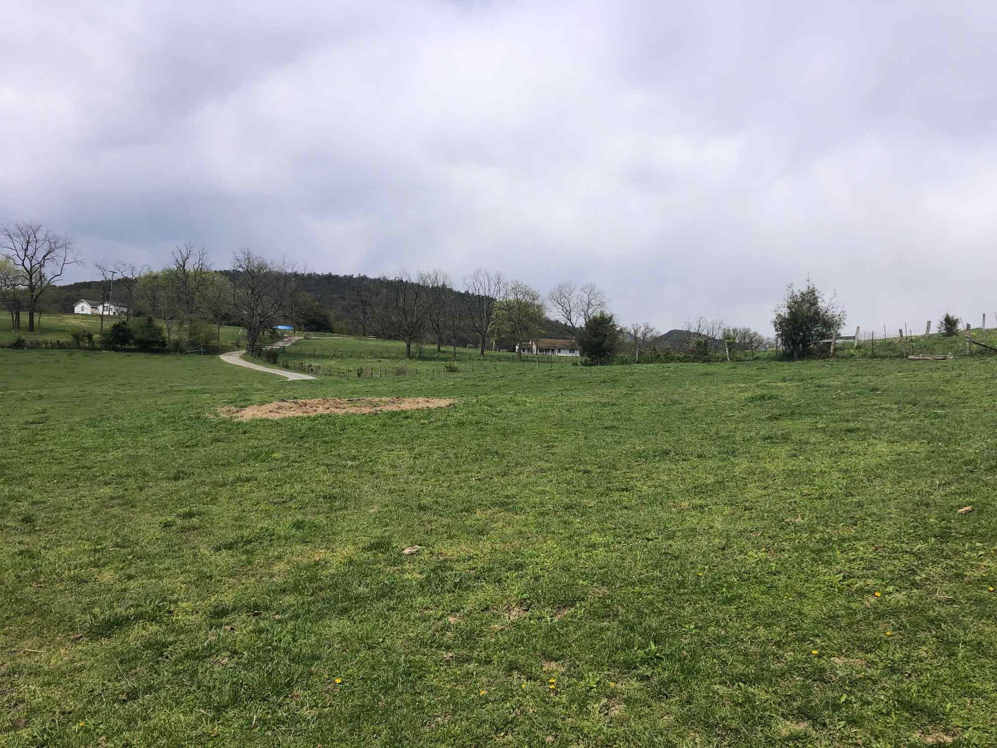 12485 3rd Hill Road Fulks Run, VA 22830 - Photo 25 of 31 Gallery Image 25