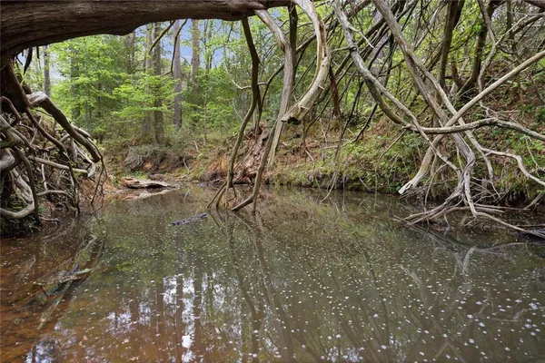 $1,135,000 | 17804 Cr 4325 Frankston Tx 75163, Frankston, TX 75763