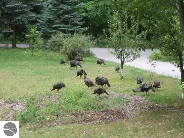 1468 West River Road Traverse City, MI 49696 - Photo 25 of 25 1739783-24.JPG