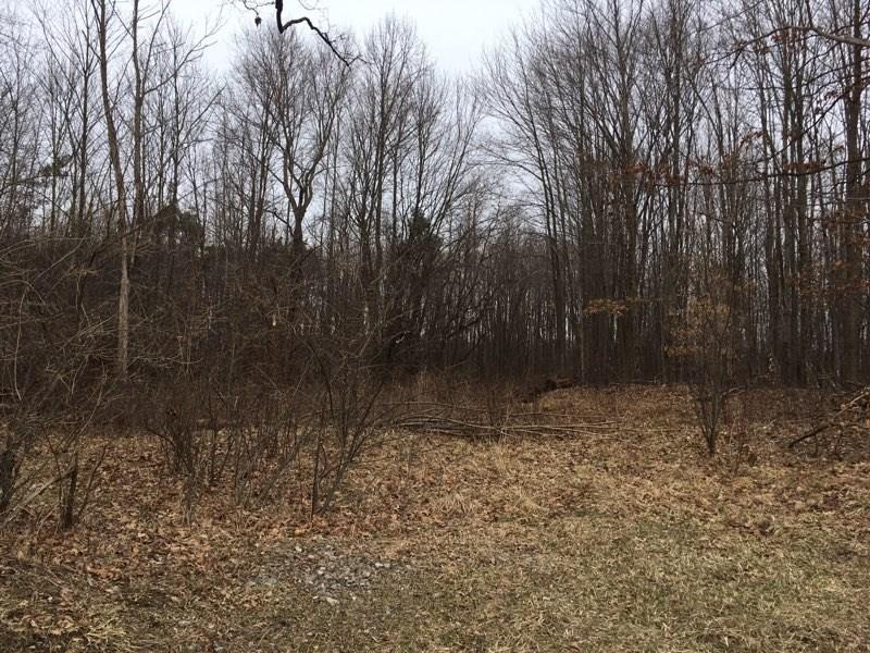 Rd4 Daugherty Road Grove City, PA 16127 - Photo 4 of 4