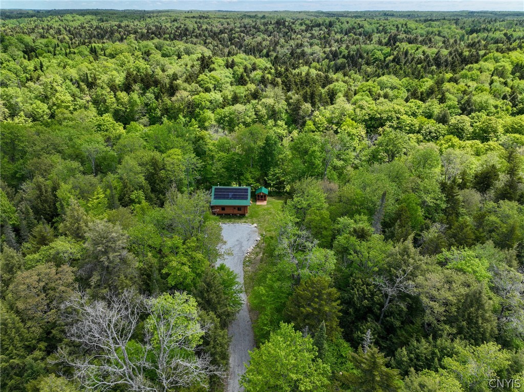 1924 Kotary Road Lewis, NY 13325 - Photo 21 of 50
