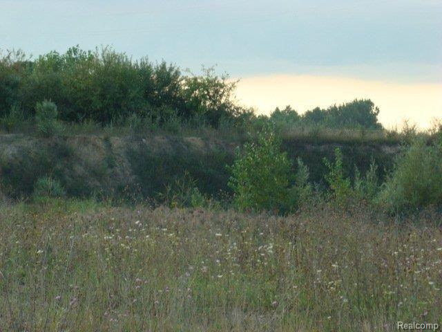 2105 West Barnes Road Fostoria, MI 48435 - Photo 5 of 9 75 acres Barnes Rd. 021