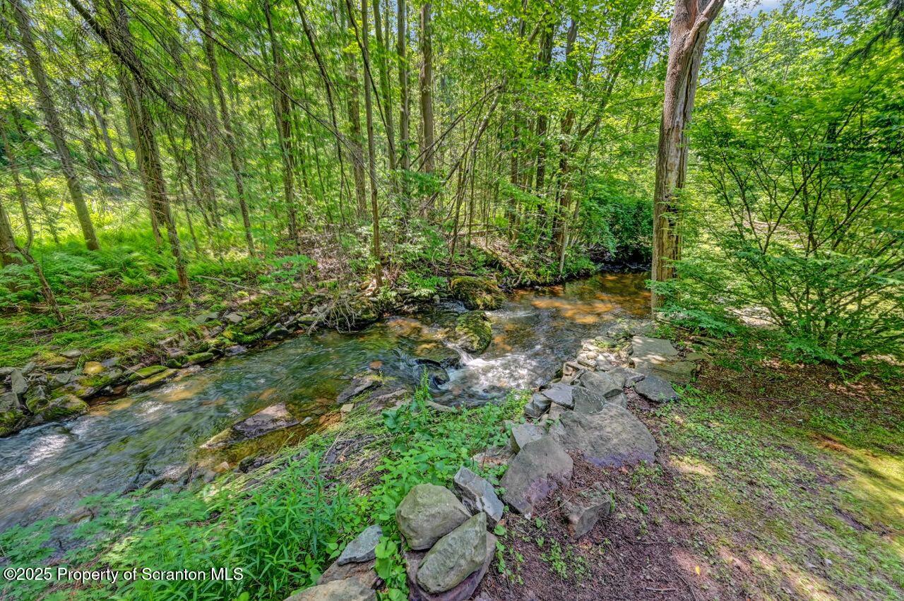 300 Madisonville Road Moscow, PA 18444 - Photo 52 of 57 Brook/Backyard
