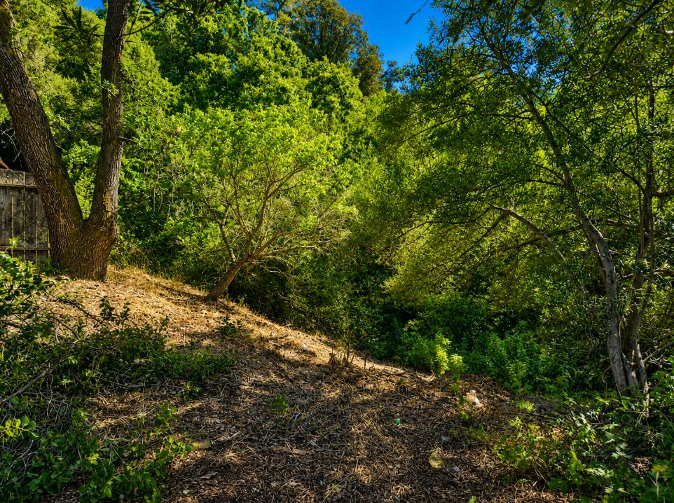 1527 Pleasant Hill Road Lafayette, CA 94549 - Photo 25 of 26