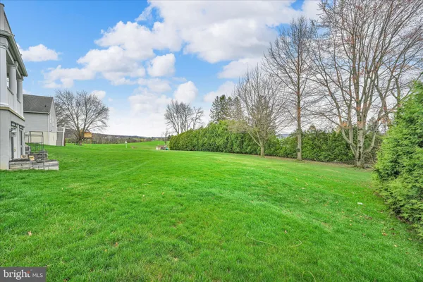 a view of a big yard with plants and large trees