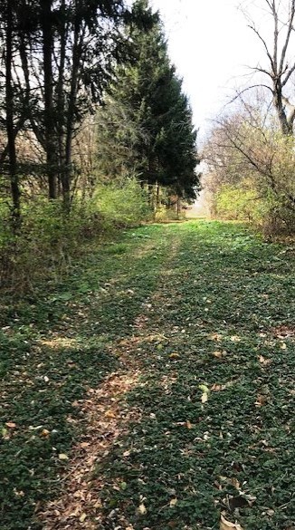 30W451 Lysle Road Wayne, IL 60184 - Photo 35 of 35