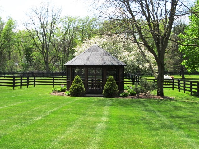 30W451 Lysle Road Wayne, IL 60184 - Photo 5 of 35