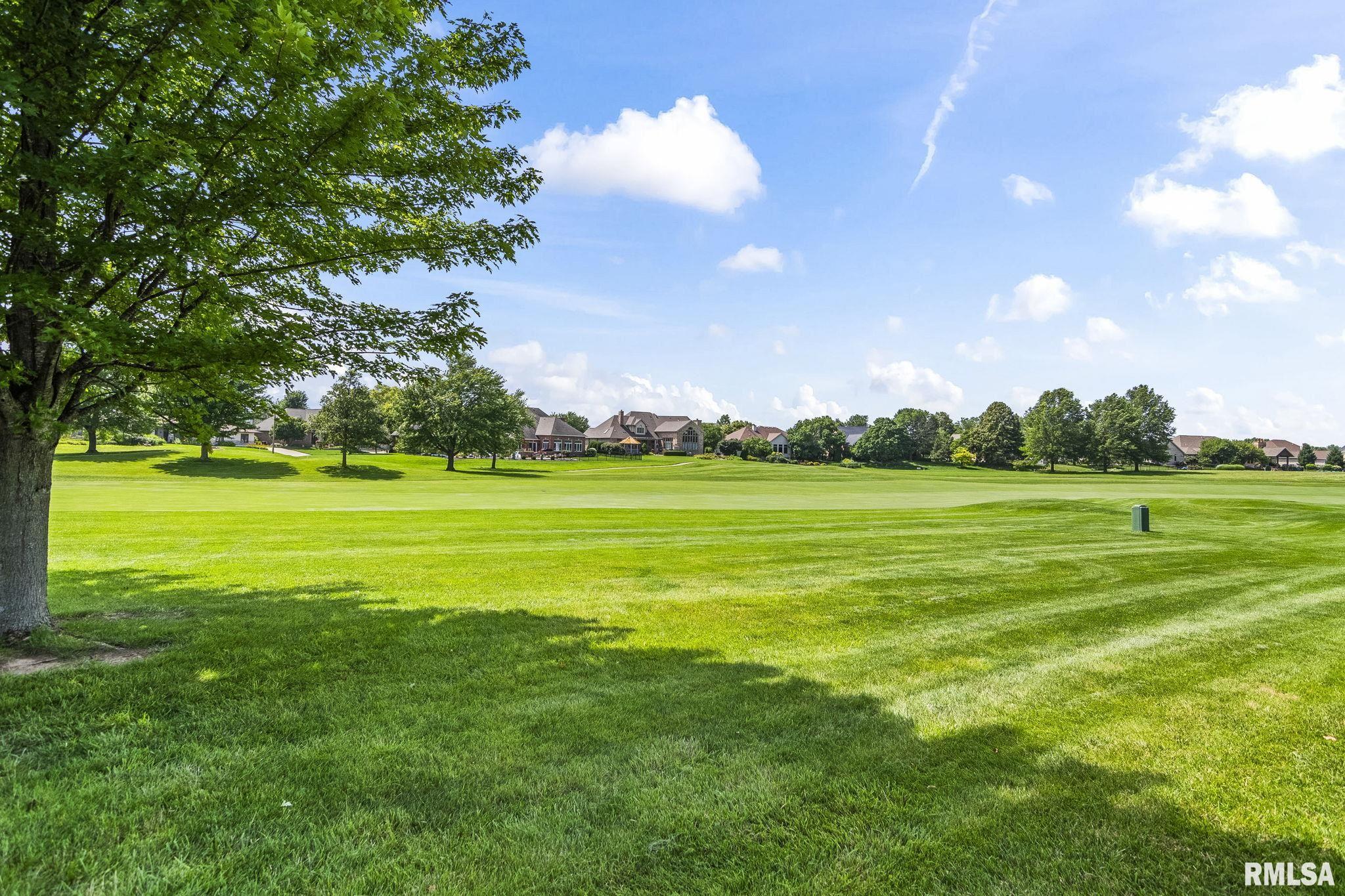 4509 Blackwolf Road Springfield, IL 62711 - Photo 6 of 23