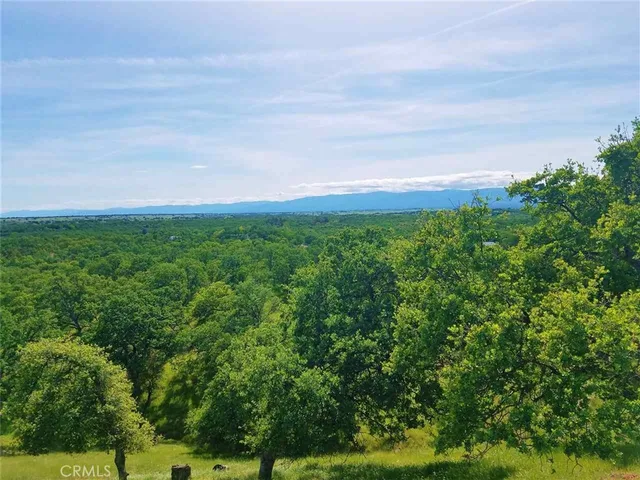 a view of a field of grass and trees