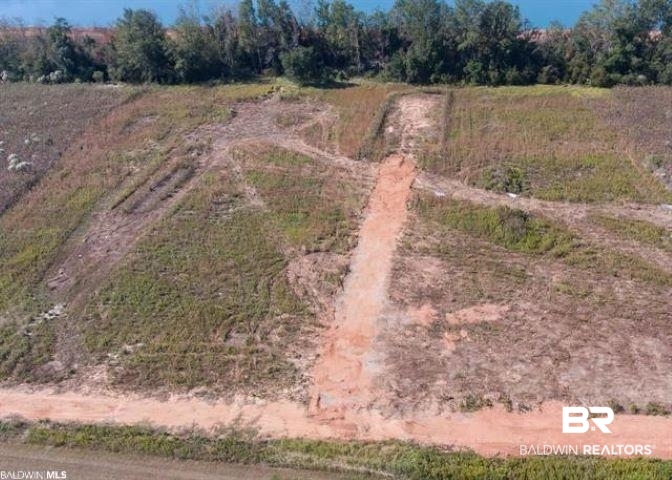 9465 Harry Morris Lane Foley, AL 36535 - Photo 6 of 7 Bird's eye view