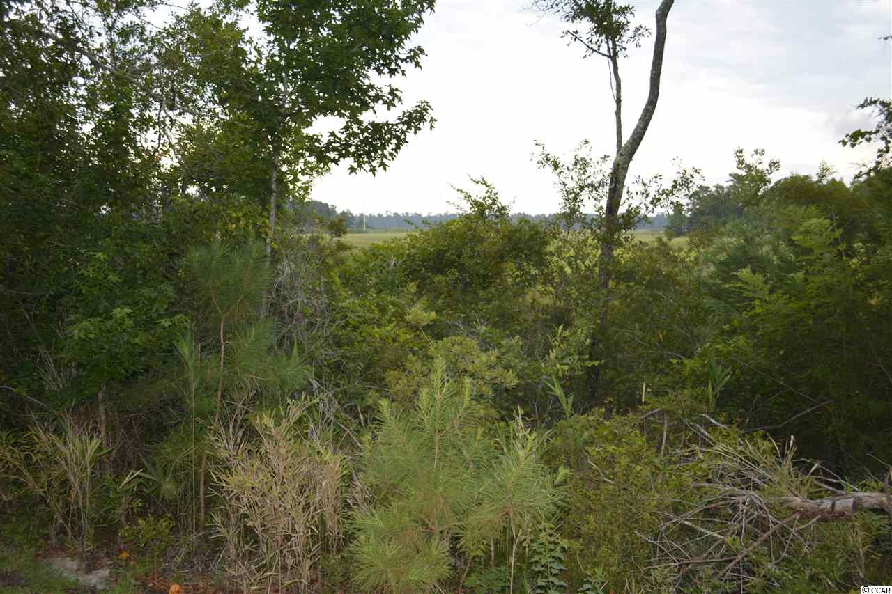 79 Middle Square Lane Georgetown, SC 29440 - Photo 1 of 4 Gallery Image 1