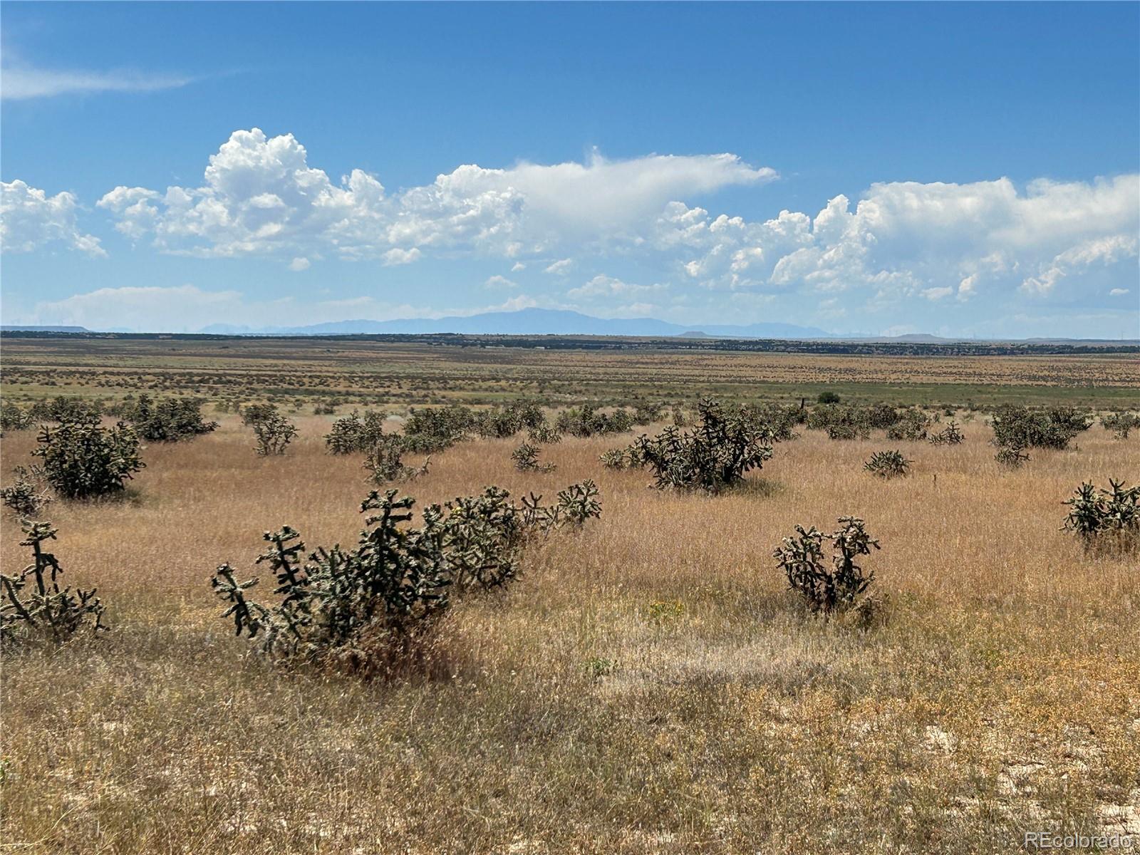 Lot 4 Outback Ranch Model, CO 81059 - Photo 11 of 20