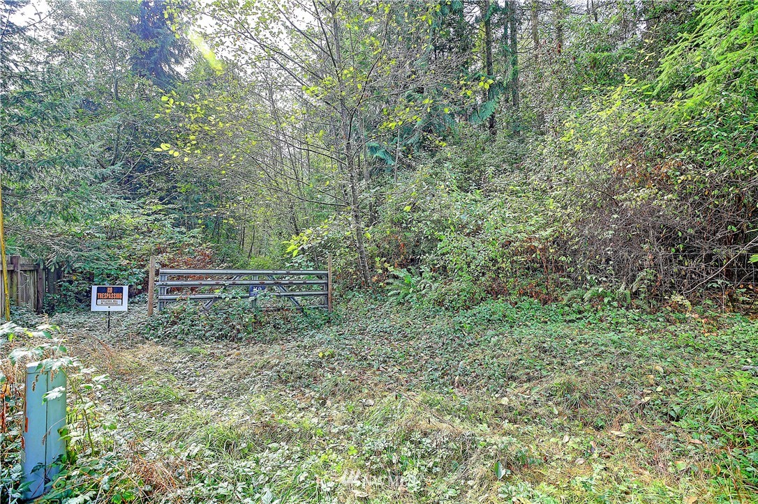 0 Scott Road Camano Island, WA 98282 - Photo 1 of 17 Gallery Image 1
