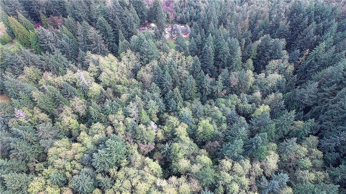 0 Scott Road Camano Island, WA 98282 - Photo 12 of 17 Gallery Image 12