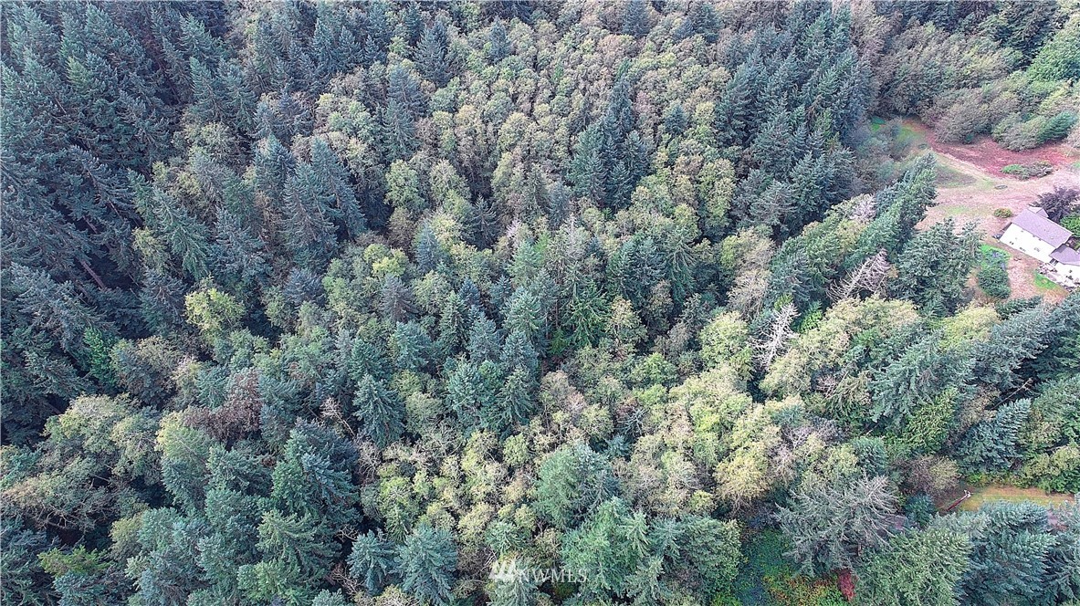 0 Scott Road Camano Island, WA 98282 - Photo 14 of 17 Gallery Image 14