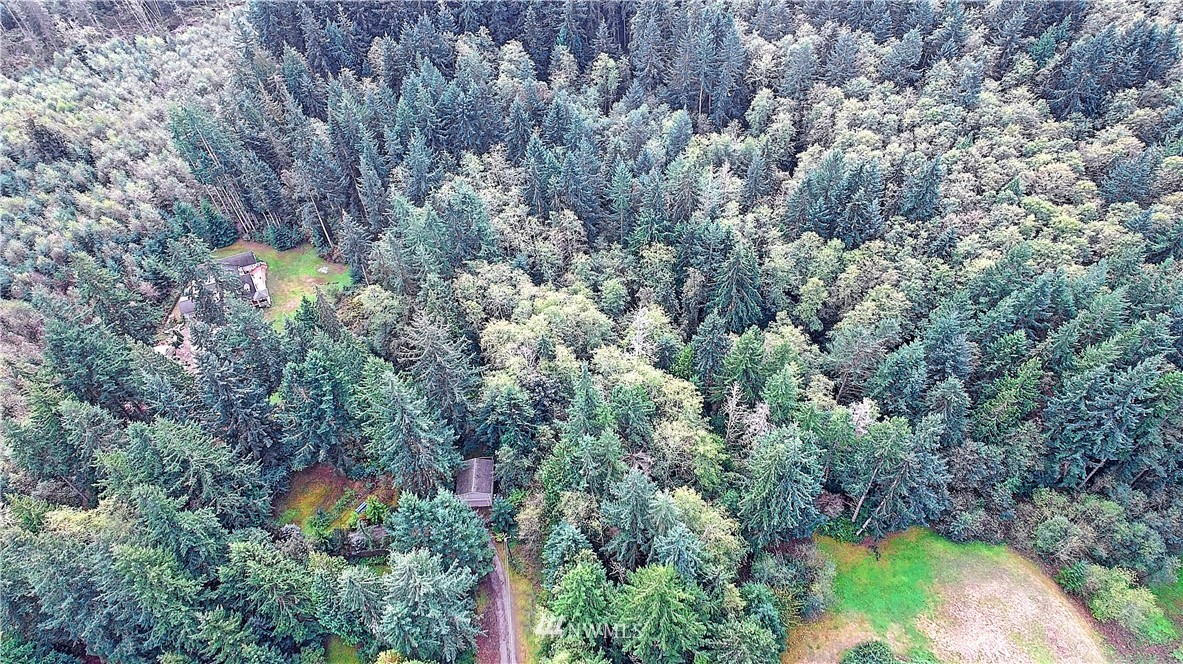 0 Scott Road Camano Island, WA 98282 - Photo 16 of 17 Gallery Image 16