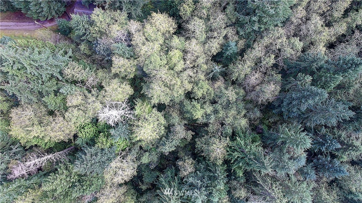 0 Scott Road Camano Island, WA 98282 - Photo 17 of 17 Gallery Image 17