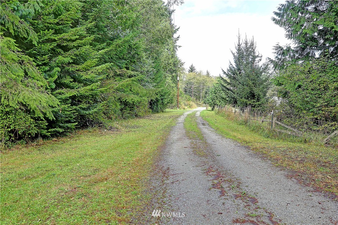 0 Scott Road Camano Island, WA 98282 - Photo 5 of 17 Gallery Image 5