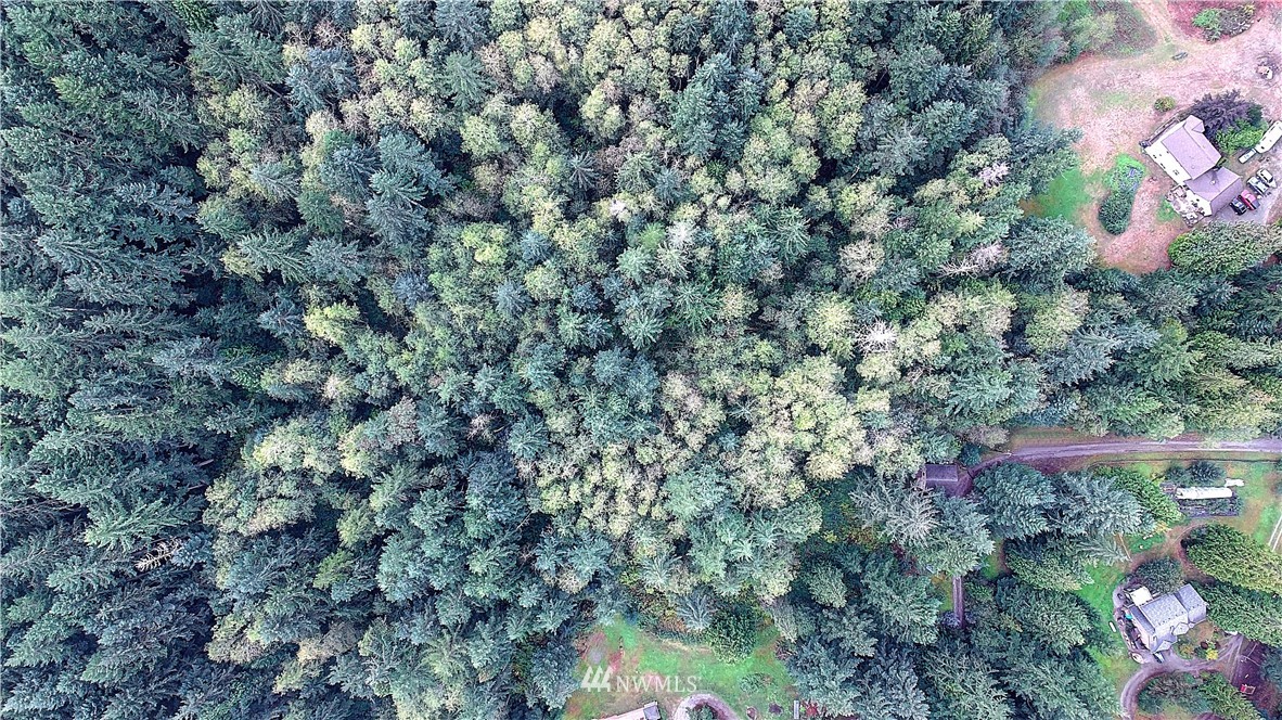 0 Scott Road Camano Island, WA 98282 - Photo 8 of 17 Gallery Image 8