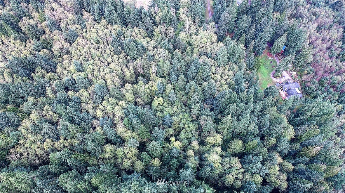 0 Scott Road Camano Island, WA 98282 - Photo 10 of 17 Gallery Image 10