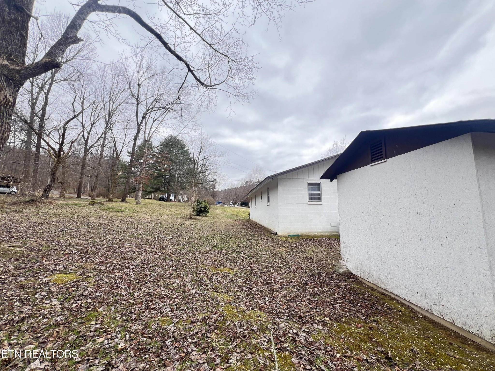 723 Charles Young Road Walland, TN 37886 - Photo 16 of 17 Gallery Image 16