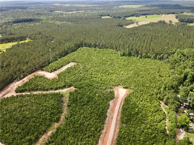 2 436th Highway Angie, LA 70426 - Photo 4 of 19
