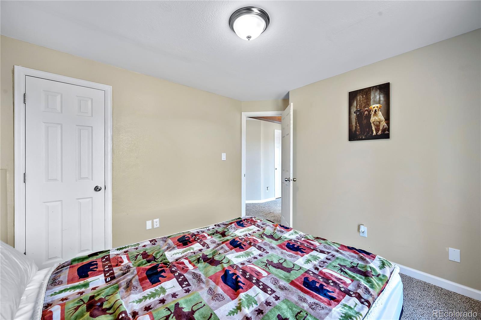 34948 Forest Estates Road Evergreen, CO 80439 - Photo 38 of 39 Gallery Image 38
